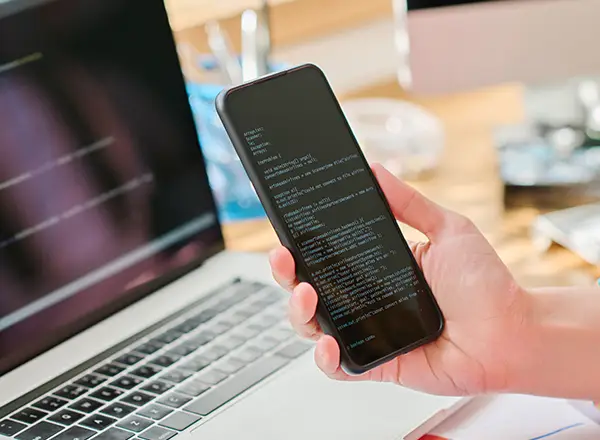 App Development Service with True Dev